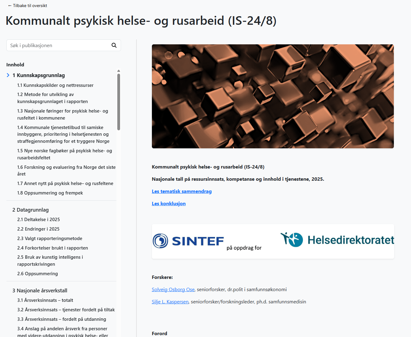 Eksempel på rapport laget med nettrapport.no
